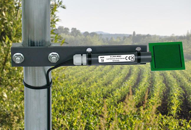 葉片濕度傳感器S-LWA-M003高精度樹葉草葉濕度智能探頭