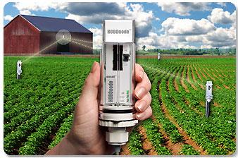 如何使用HOBO記錄儀無線遠(yuǎn)程監(jiān)控測(cè)試土壤溫濕度墑情監(jiān)測(cè)系統(tǒng)