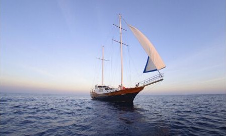 ףR҇ɹ׿pģʽÌ(do)_(ni)ͶЈ