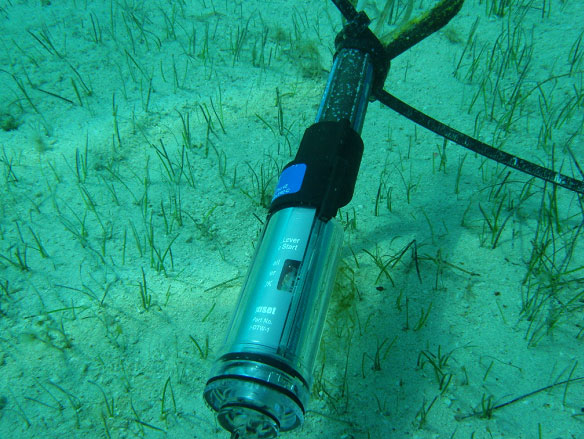HOBO水溫度記錄儀應(yīng)用在沿海水下環(huán)境監(jiān)測(cè)成功案例